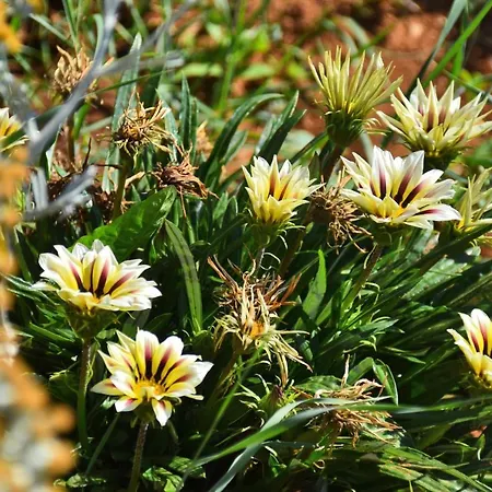 بيت للعطل Kuca Za Odmor Diana Sukošan