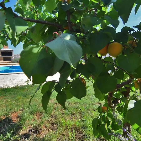 Kuca Za Odmor Diana Holiday home Sukosan