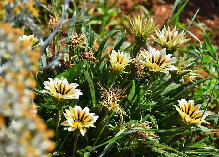 Дом отдыха Kuca Za Odmor Diana Сукошан