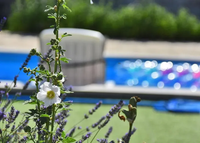 Дом отдыха Kuca Za Odmor Diana